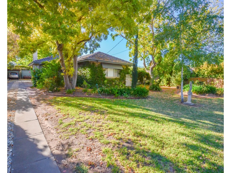 54 Hopwood Street, Echuca VIC 3564