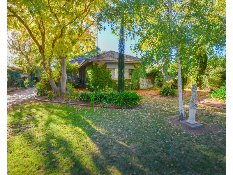 54 Hopwood Street, Echuca VIC 3564