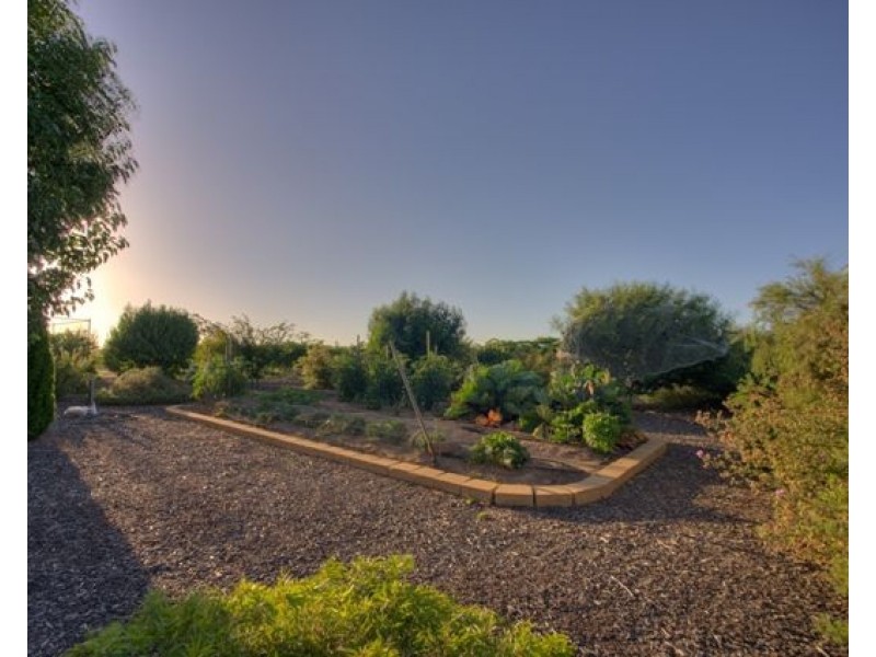29 Cabernet Drive, Moama NSW 2731