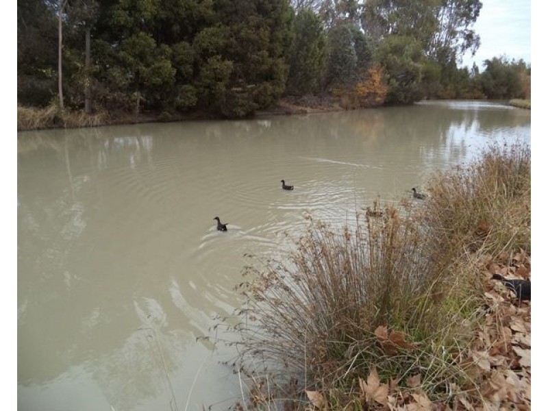 121 Twenty Four Lane “Menarock Waters”, Moama NSW 2731