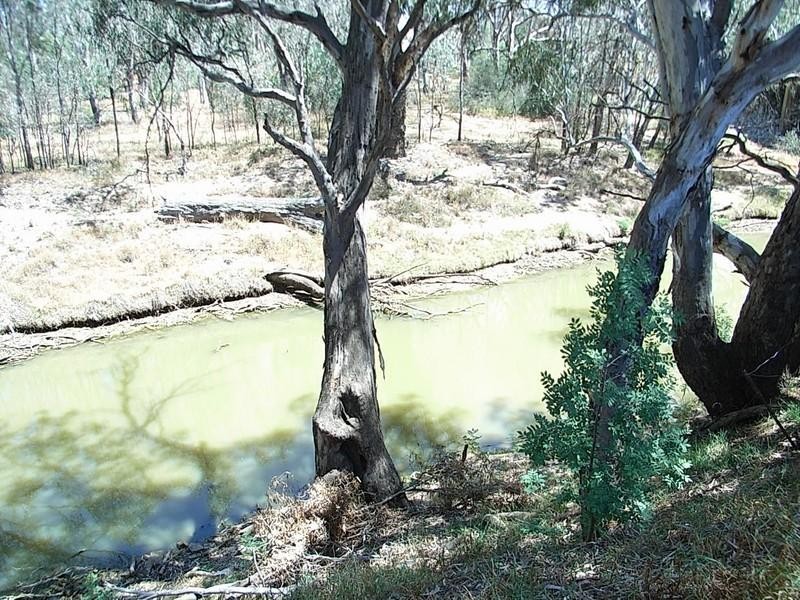 5/305 Ogilvie Avenue, Echuca VIC 3564