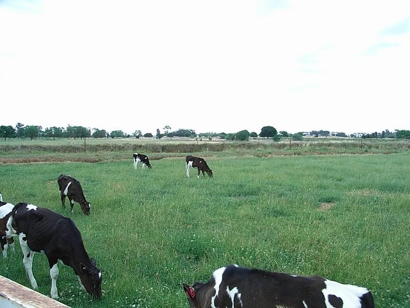 1896 Wilson Road, Tongala VIC 3621