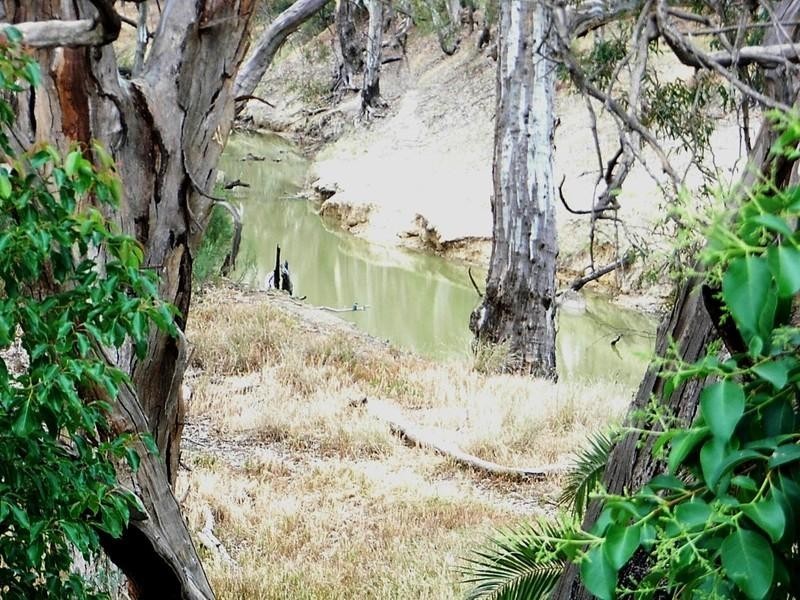 1 Randell Court, Echuca VIC 3564