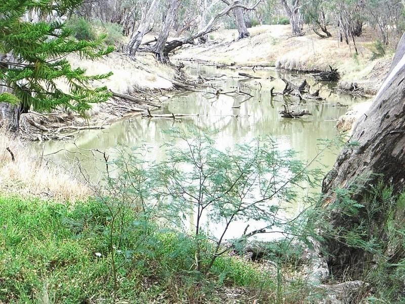 1 Randell Court, Echuca VIC 3564