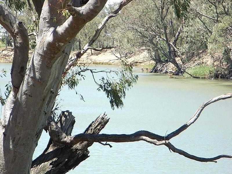 Lot 1, 2200 Perricoota Road, Moama NSW 2731