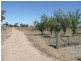 Lot 1, 746 Wharparilla Road, Echuca VIC 3564
