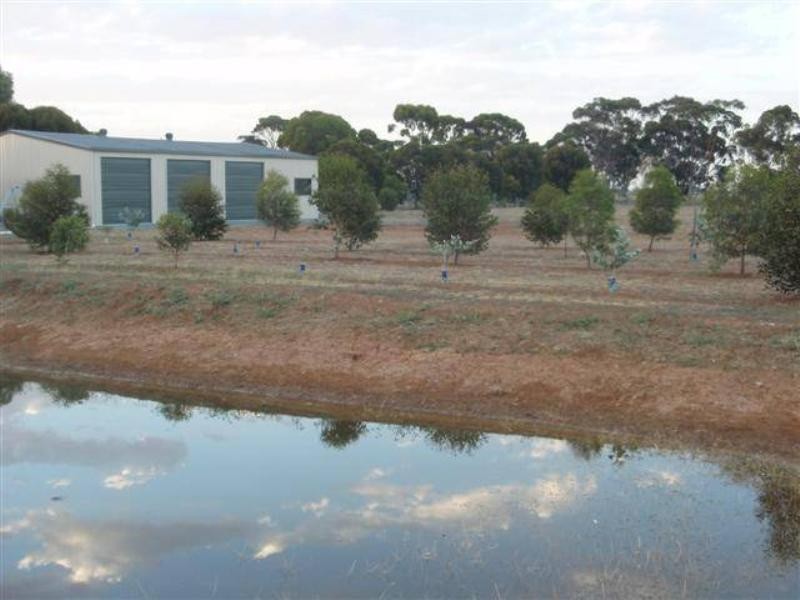 775 Mt Terrick Road, Echuca VIC 3564