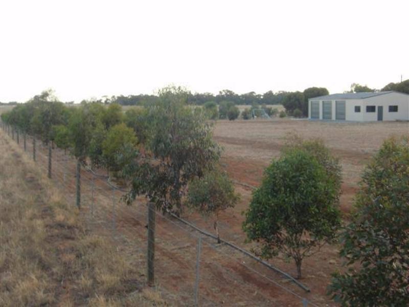 775 Mt Terrick Road, Echuca VIC 3564