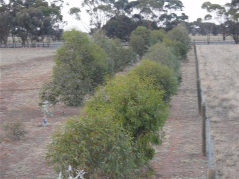 775 Mt Terrick Road, Echuca VIC 3564