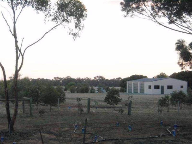 775 Mt Terrick Road, Echuca VIC 3564