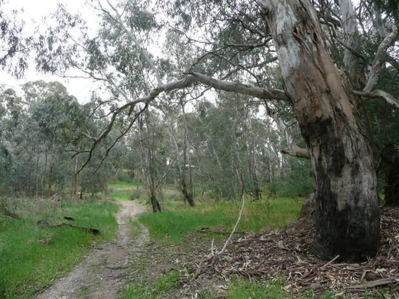 122 Pianta Road, Echuca VIC 3564