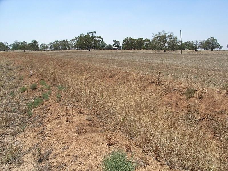 668 Highett Road, Mitiamo VIC 3573