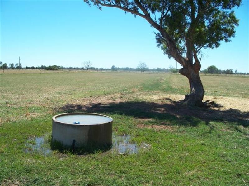 249 Pannoo Road, Lockington VIC 3563