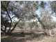 Lot 7 Fraser Road, Echuca VIC 3564