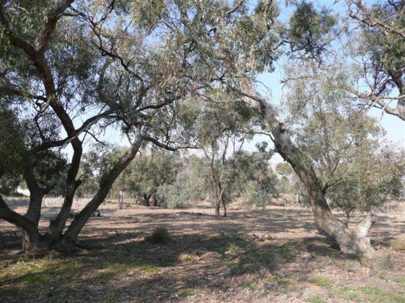 Lot 7 Fraser Road, Echuca VIC 3564