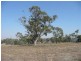 Lot 7 Fraser Road, Echuca VIC 3564