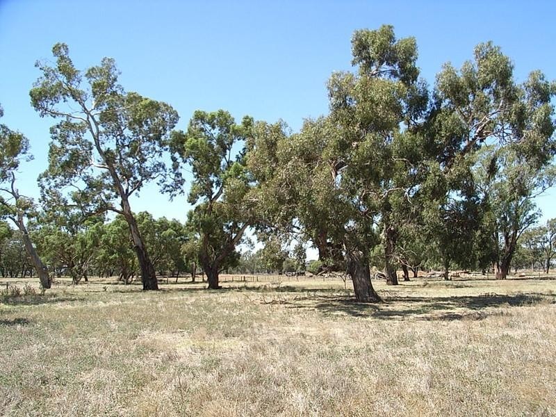 710 Echuca-Nanneella Road, Echuca VIC 3564