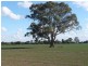 251 Strathallan Road, Echuca VIC 3564