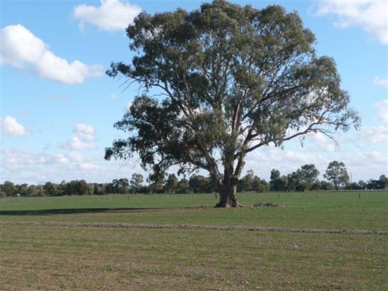 251 Strathallan Road, Echuca VIC 3564