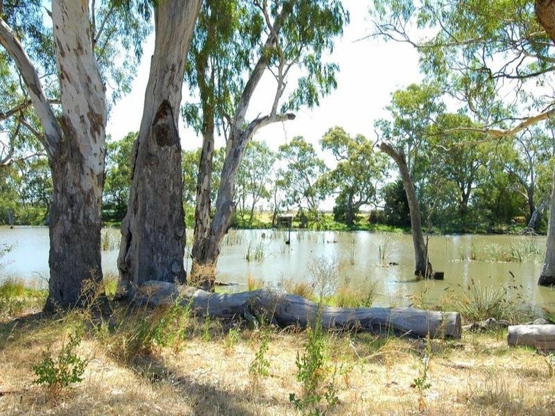 209 Welton School Rd, Torrumbarry, Echuca VIC 3564