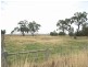 1992 Echuca-Mitiamo Rd, Kotta, Echuca VIC 3564