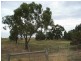 1992 Echuca-Mitiamo Rd, Kotta, Echuca VIC 3564