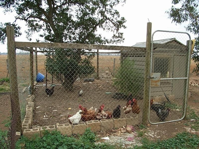 1992 Echuca-Mitiamo Rd, Kotta, Echuca VIC 3564