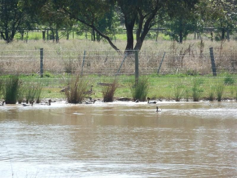 Lot 3 Castletown Court, Echuca VIC 3564