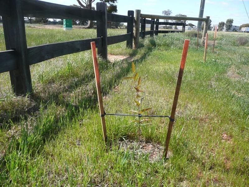 Lot 11 Castletown Court, Echuca VIC 3564