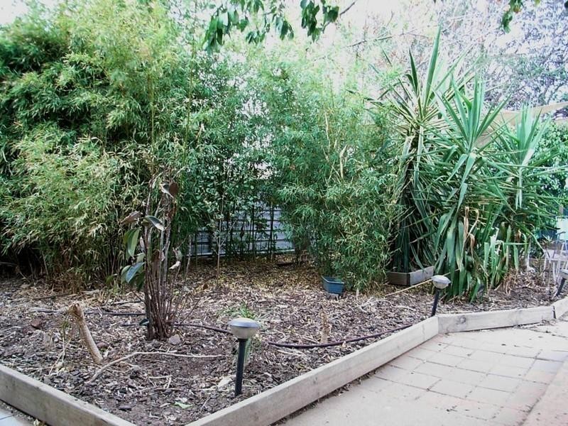 77 Haverfield Street, Echuca VIC 3564