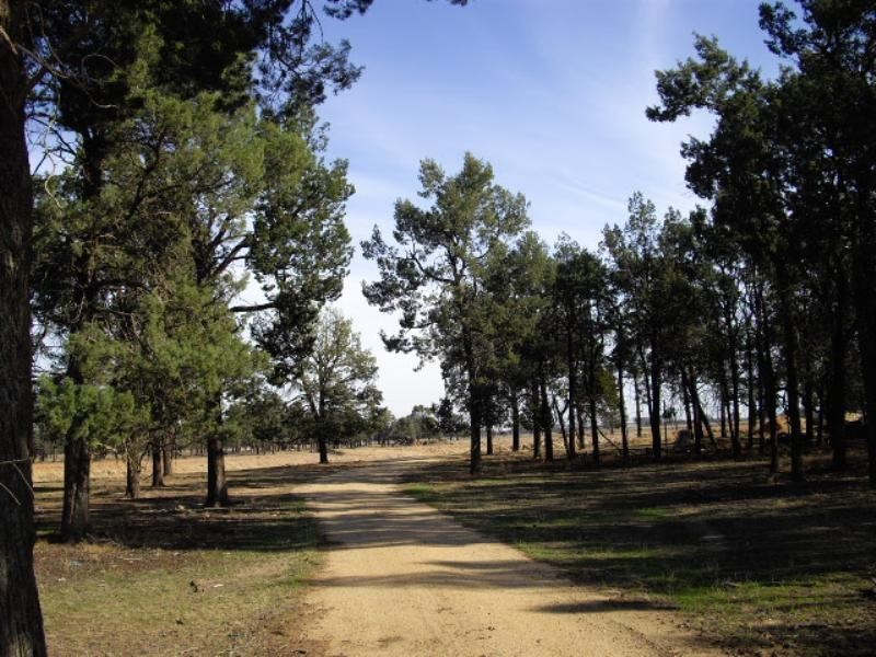 Lot 5 Thyra Road, Moama NSW 2731