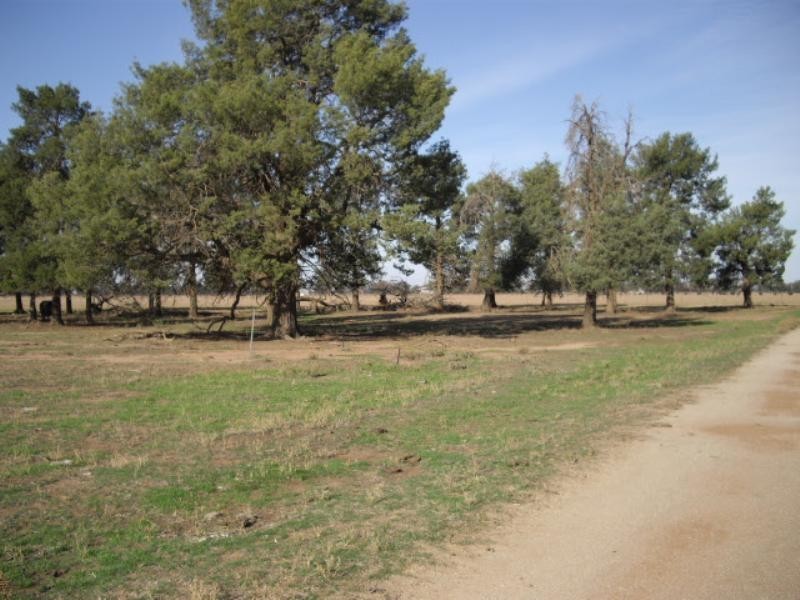 Lot 5 Thyra Road, Moama NSW 2731