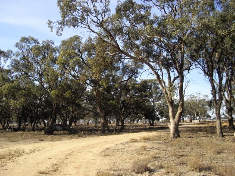 Lot 3 Thyra Road, Moama NSW 2731
