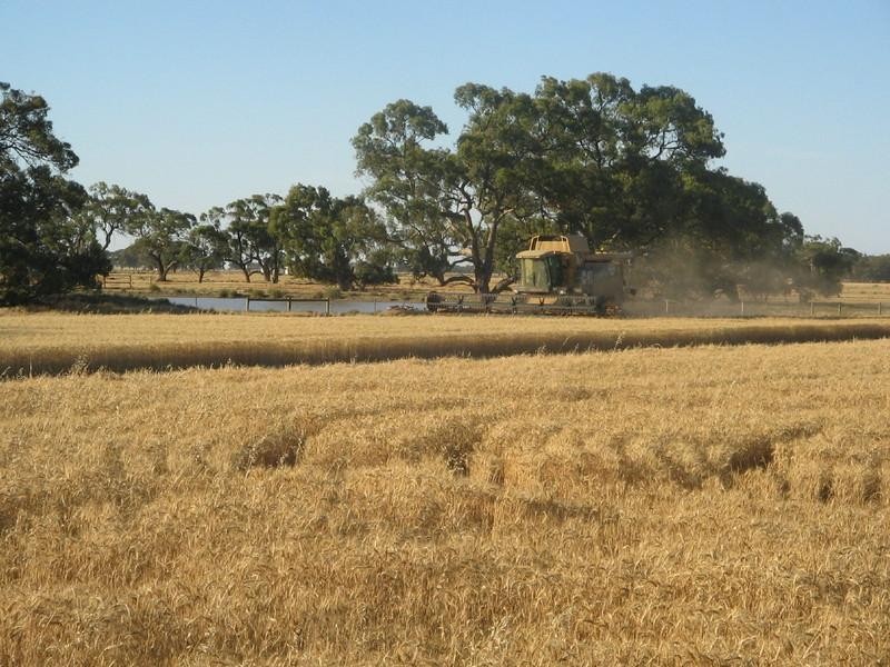 Lot 3 Thyra Road, Moama NSW 2731