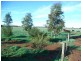 251 O’Dwyer Road, Echuca VIC 3564