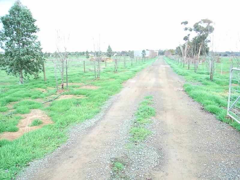 251 O’Dwyer Road, Echuca VIC 3564