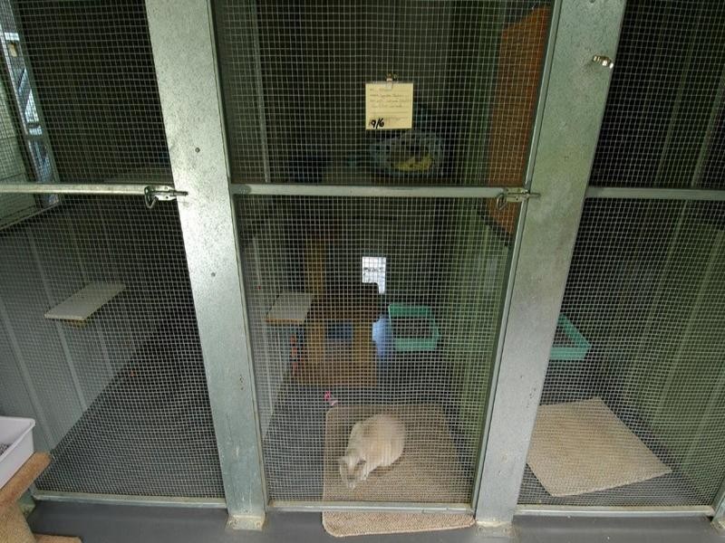 854 Northern Highway, Echuca VIC 3564