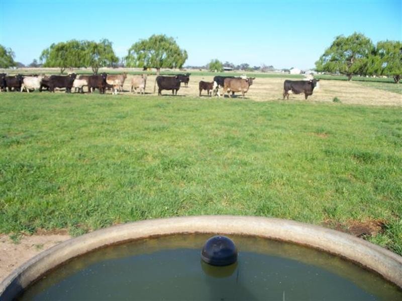 Echuca Village VIC 3564