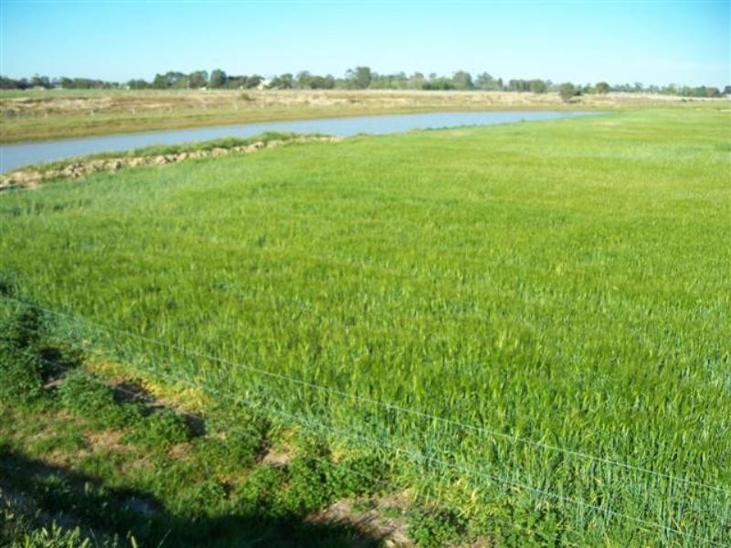 Echuca Village VIC 3564