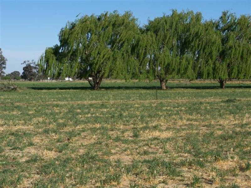 Echuca Village VIC 3564