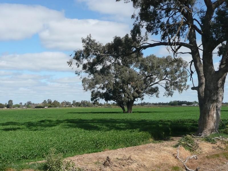 Echuca Village VIC 3564