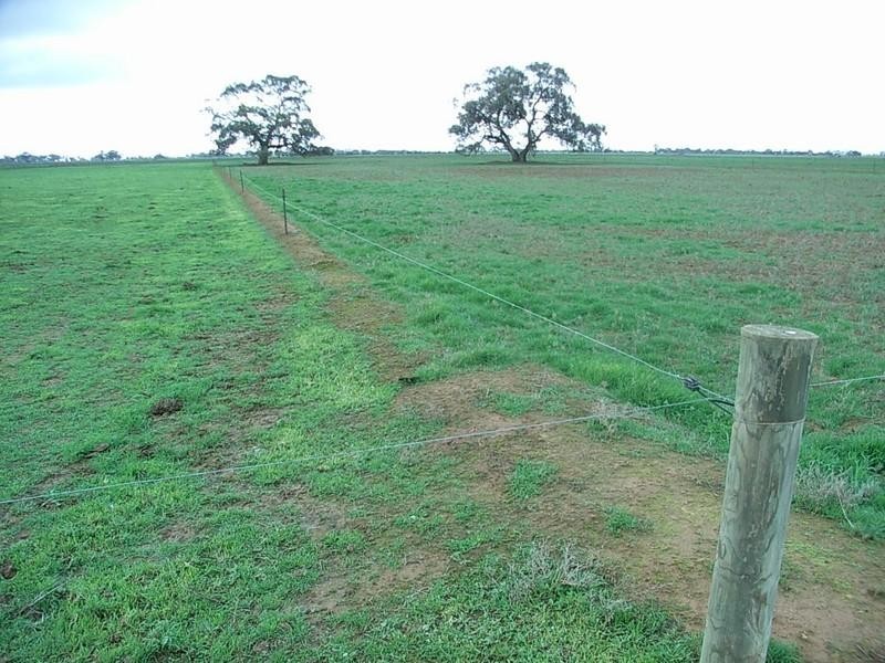 1133 Mitiamo Road, Echuca VIC 3564