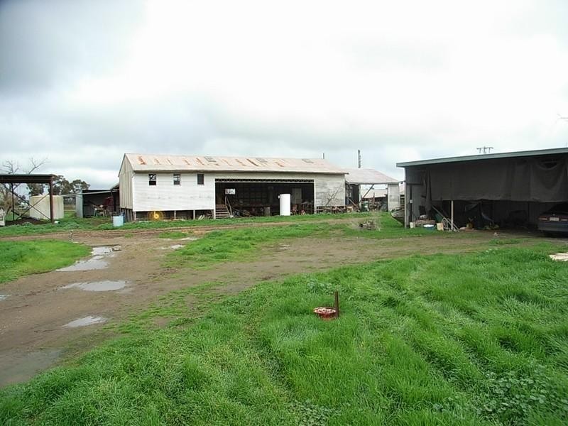 1133 Mitiamo Road, Echuca VIC 3564