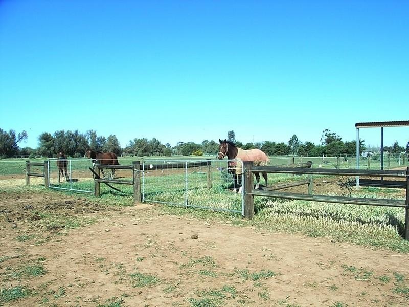 265 O’Dwyer Road, Echuca VIC 3564
