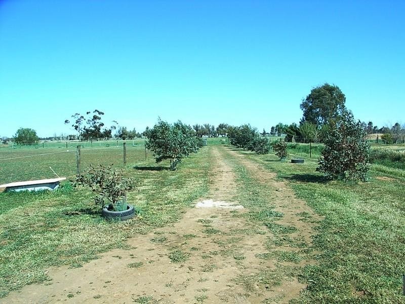 265 O’Dwyer Road, Echuca VIC 3564