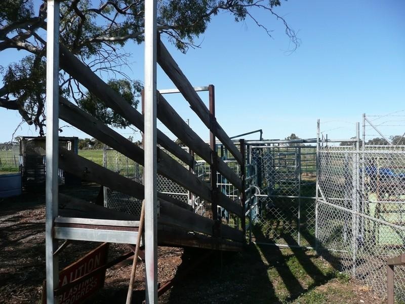 193 Muller Road, Echuca VIC 3564