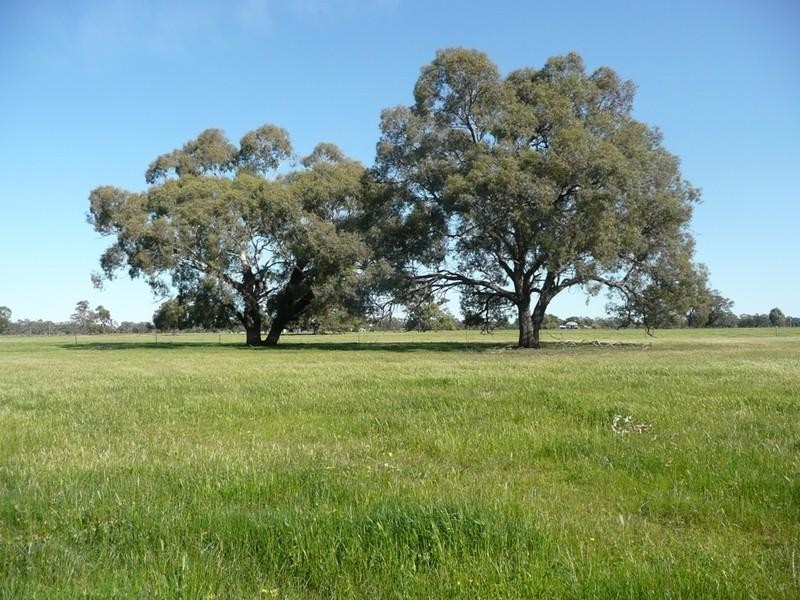 193 Muller Road, Echuca VIC 3564