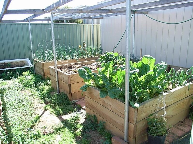 77 Sutton Street, Echuca VIC 3564