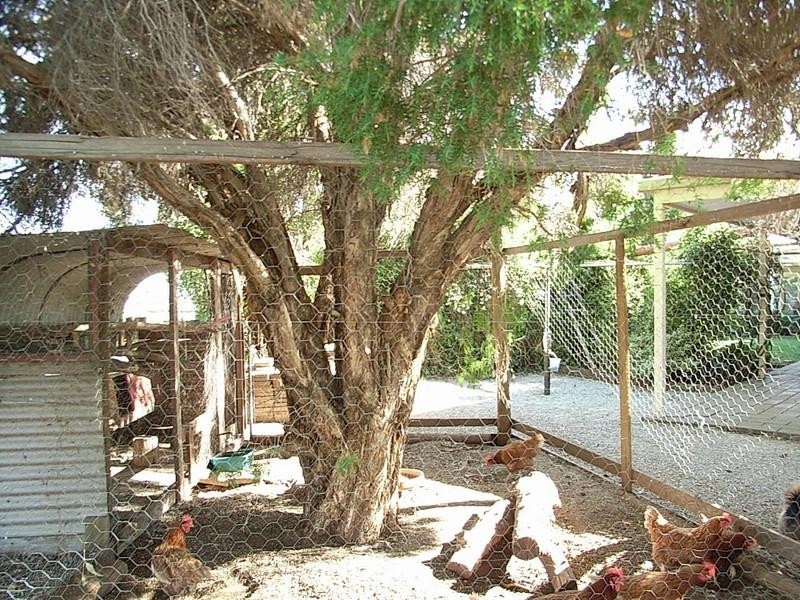 285 Echuca West School Road, Echuca VIC 3564