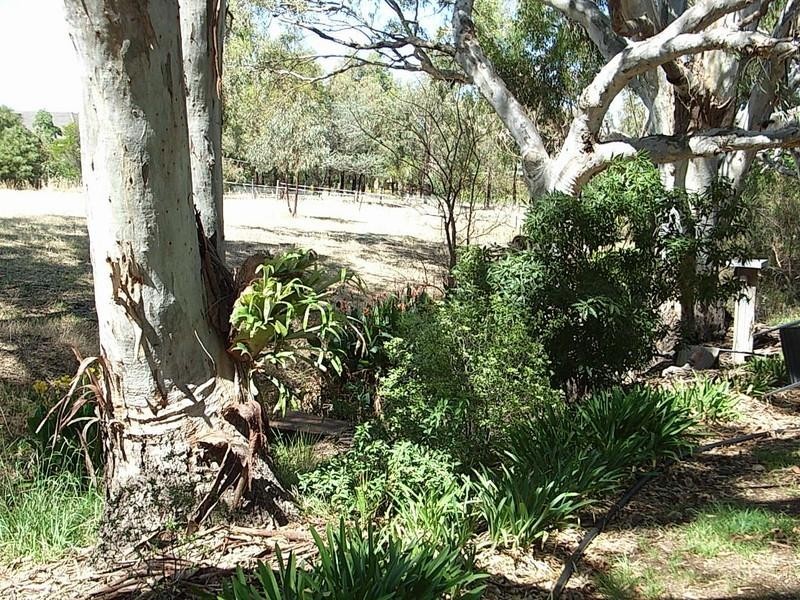 8774 Northern Highway, Echuca VIC 3564
